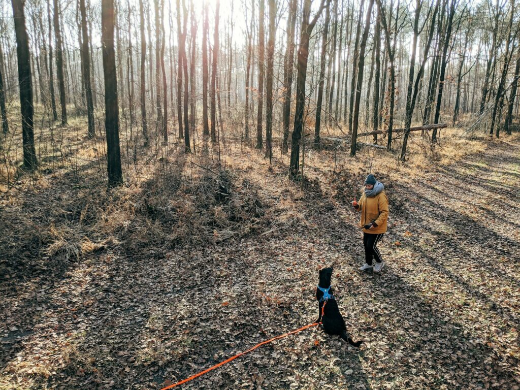 woman in yellow jacket walking on dirt road between trees during daytime